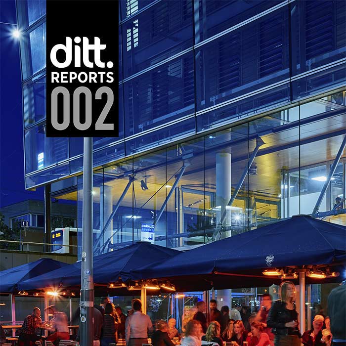 Ditt Report 002